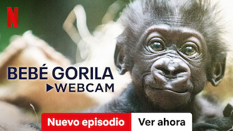 Bebé gorila - Webcam (2023)